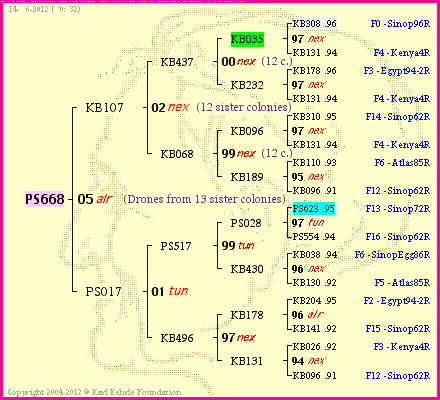 Pedigree of PS668 :
four generations presented