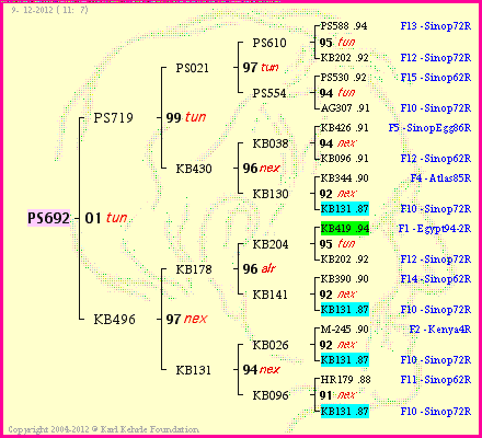 Pedigree of PS692 :
four generations presented