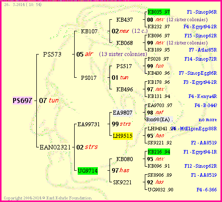 Pedigree of PS697 :
four generations presented