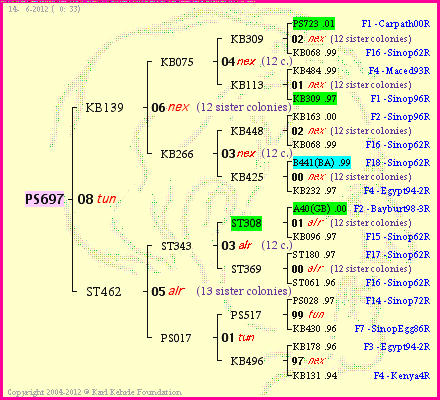 Pedigree of PS697 :
four generations presented