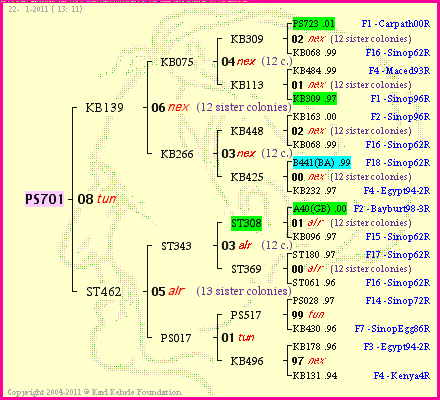 Pedigree of PS701 :
four generations presented