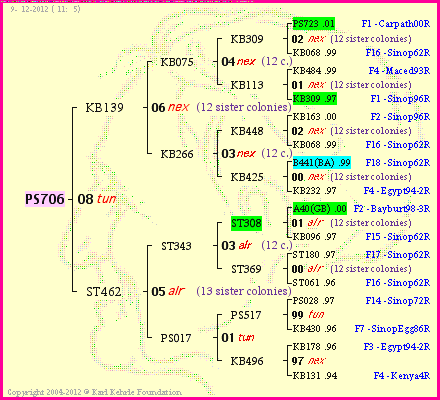 Pedigree of PS706 :
four generations presented