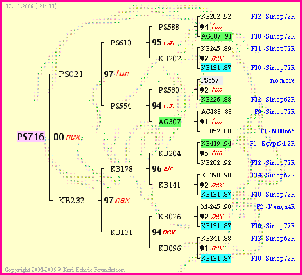 Pedigree of PS716 :
four generations presented