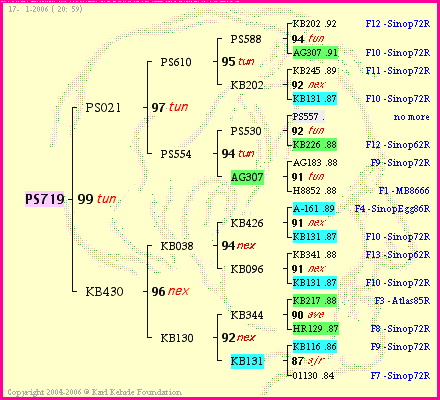 Pedigree of PS719 :
four generations presented