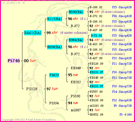 Pedigree of PS746 :
four generations presented