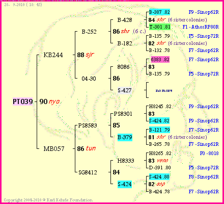 Pedigree of PT039 :
four generations presented