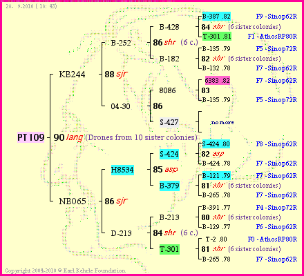 Pedigree of PT109 :
four generations presented