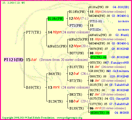 Pedigree of PT121(TR) :
four generations presented
it's temporarily unavailable, sorry!