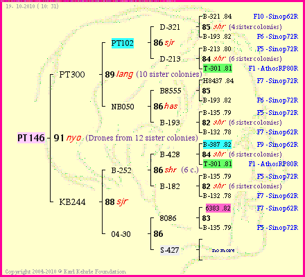 Pedigree of PT146 :
four generations presented