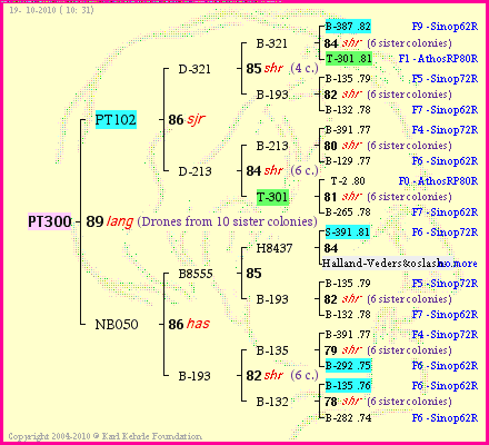 Pedigree of PT300 :
four generations presented