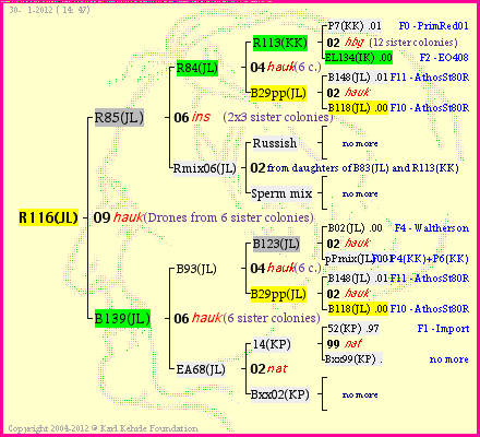 Pedigree of R116(JL) :
four generations presented