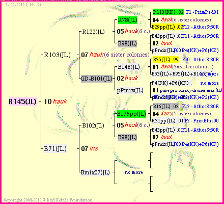 Pedigree of R145(JL) :
four generations presented