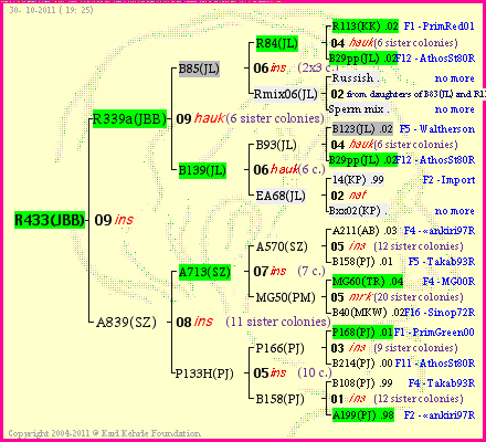 Pedigree of R433(JBB) :
four generations presented