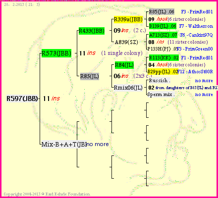 Pedigree of R597(JBB) :
four generations presented