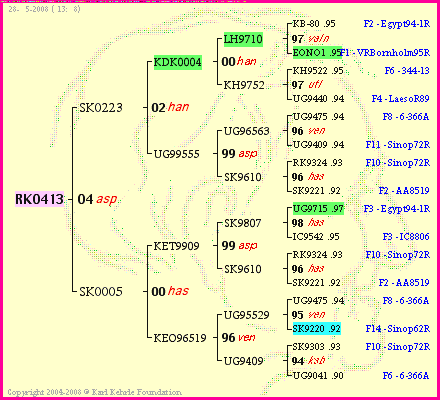 Pedigree of RK0413 :
four generations presented