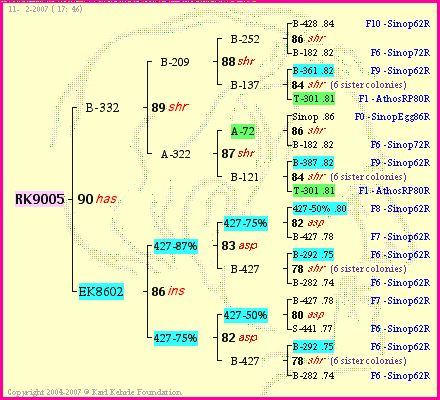 Pedigree of RK9005 :
four generations presented