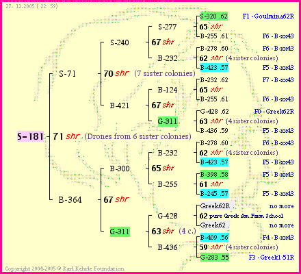 Pedigree of S-181 :
four generations presented