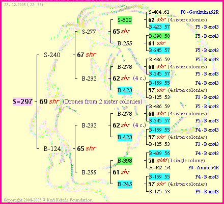 Pedigree of S-297 :
four generations presented