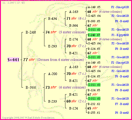 Pedigree of S-441 :
four generations presented