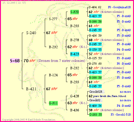 Pedigree of S-68 :
four generations presented