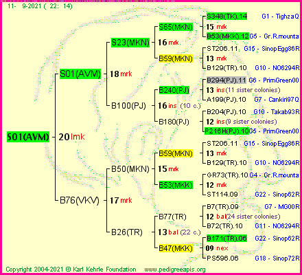 Pedigree of S01(AVM) :
four generations presented
it's temporarily unavailable, sorry!