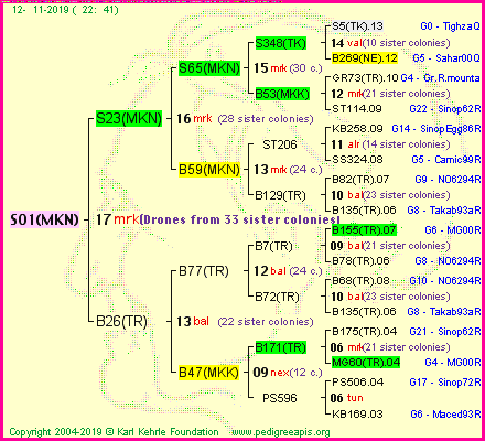 Pedigree of S01(MKN) :
four generations presented
it's temporarily unavailable, sorry!