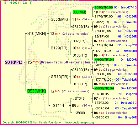 Pedigree of S01(PPL) :
four generations presented
it's temporarily unavailable, sorry!