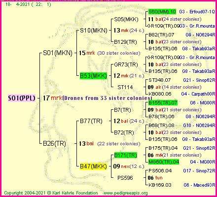 Pedigree of S01(PPL) :
four generations presented
it's temporarily unavailable, sorry!