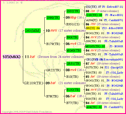 Pedigree of S05(MKK) :
four generations presented