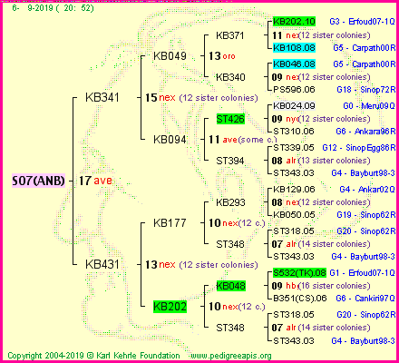 Pedigree of S07(ANB) :
four generations presented<br />it's temporarily unavailable, sorry!