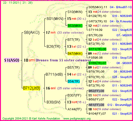 Pedigree of S1(ASO) :
four generations presented
it's temporarily unavailable, sorry!