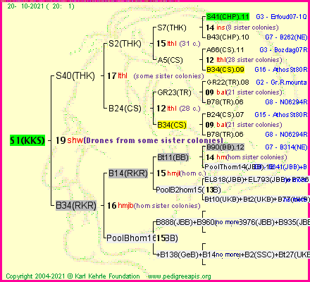 Pedigree of S1(KKS) :
four generations presented
it's temporarily unavailable, sorry!