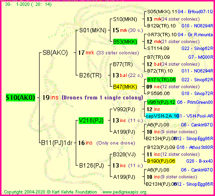 Pedigree of S10(AKO) :
four generations presented<br />it's temporarily unavailable, sorry!