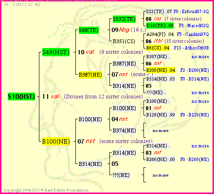 Pedigree of S10(HST) :
four generations presented