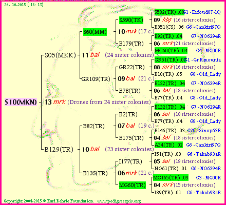 Pedigree of S10(MKN) :
four generations presented