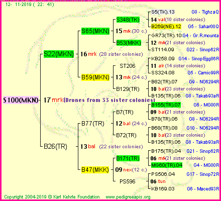 Pedigree of S100(MKN) :
four generations presented<br />it's temporarily unavailable, sorry!