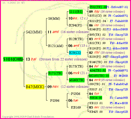 Pedigree of S101(CHB) :
four generations presented