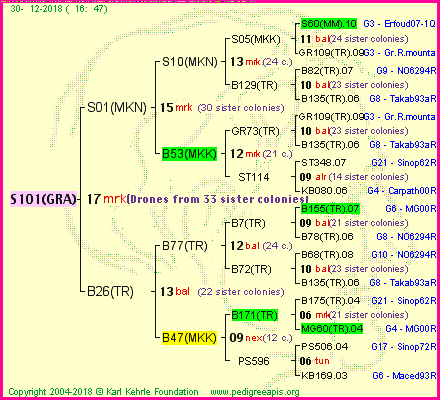 Pedigree of S101(GRA) :
four generations presented
it's temporarily unavailable, sorry!