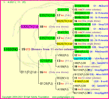 Pedigree of S102(TK) :
four generations presented
it's temporarily unavailable, sorry!