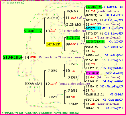 Pedigree of S104(CHB) :
four generations presented