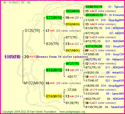 Pedigree of S105(TR) :
four generations presented
it's temporarily unavailable, sorry!