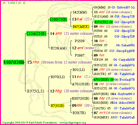 Pedigree of S107(CHB) :
four generations presented