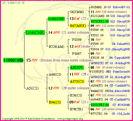 Pedigree of S108(CHB) :
four generations presented