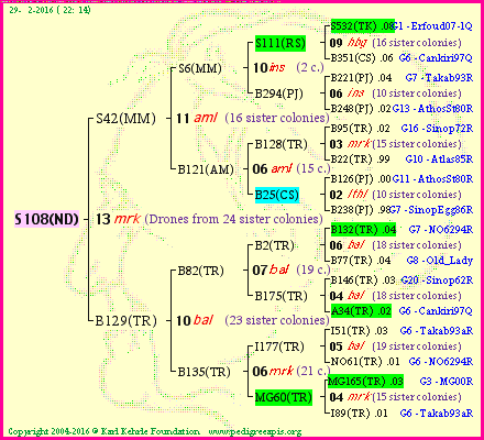 Pedigree of S108(ND) :
four generations presented