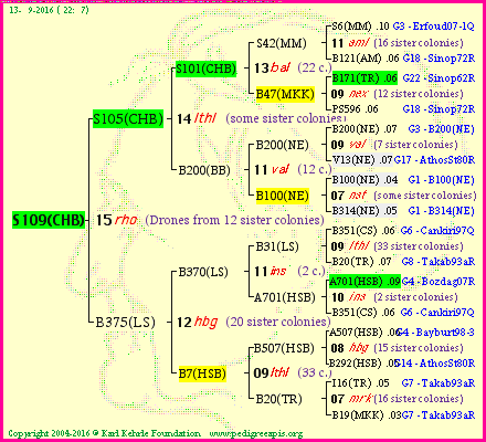 Pedigree of S109(CHB) :
four generations presented