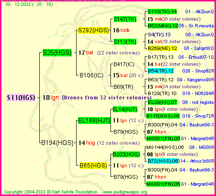 Pedigree of S11(HGS) :
four generations presented
it's temporarily unavailable, sorry!