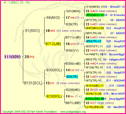 Pedigree of S11(SDV) :
four generations presented
it's temporarily unavailable, sorry!