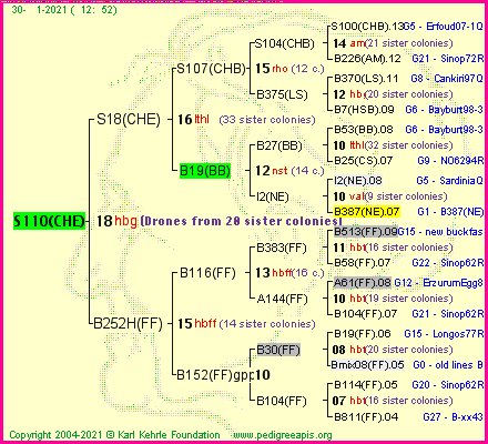 Pedigree of S110(CHE) :
four generations presented
it's temporarily unavailable, sorry!