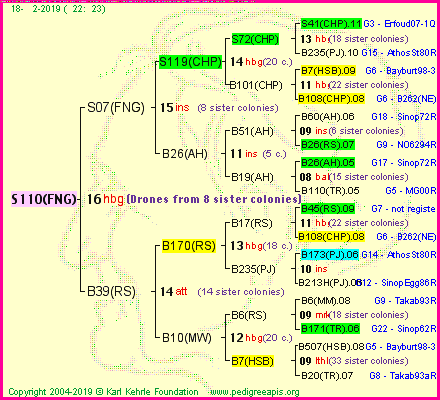 Pedigree of S110(FNG) :
four generations presented<br />it's temporarily unavailable, sorry!