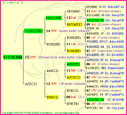 Pedigree of S111(CHB) :
four generations presented